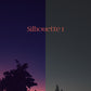 LVV1 Sunsets&Sunrises / 11 Cinematic Video LUTs