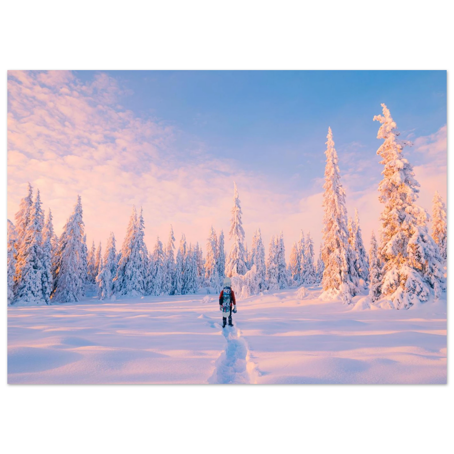 b9d1361a-695e-404c-8cc8-7d3309abc448