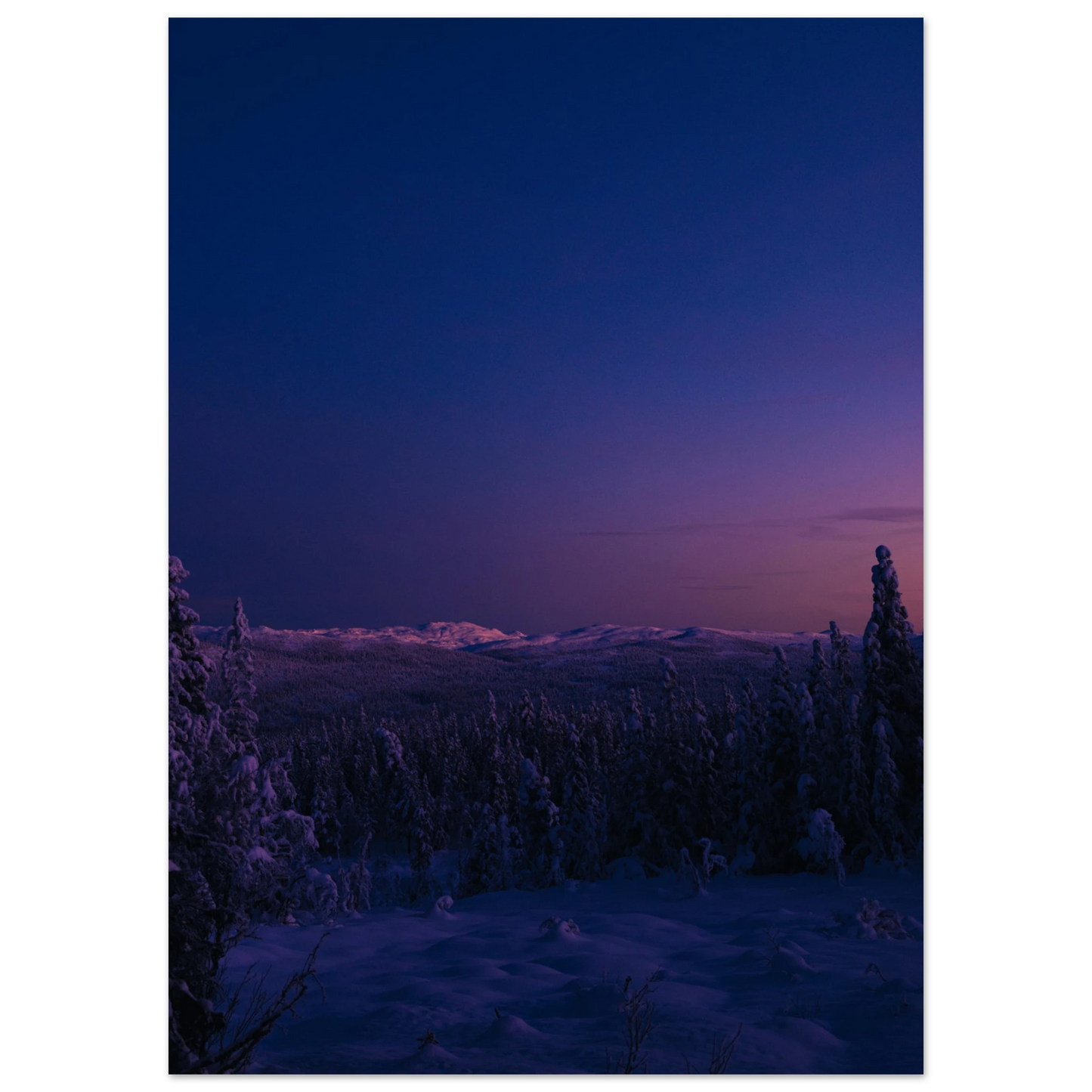 c49c8eaf-7023-46b9-ae93-ee69faf0b648